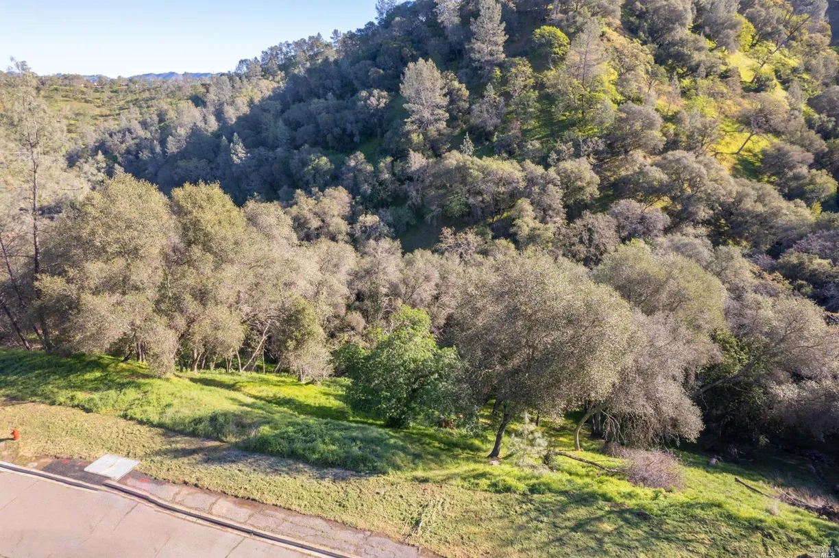 Northern California Real Estate | View 1121 Steele Canyon Road | room 2