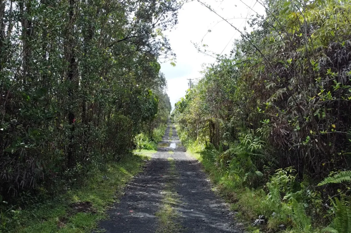 Hawaii Real Estate | View ROAD 11 (PULELEHUA)