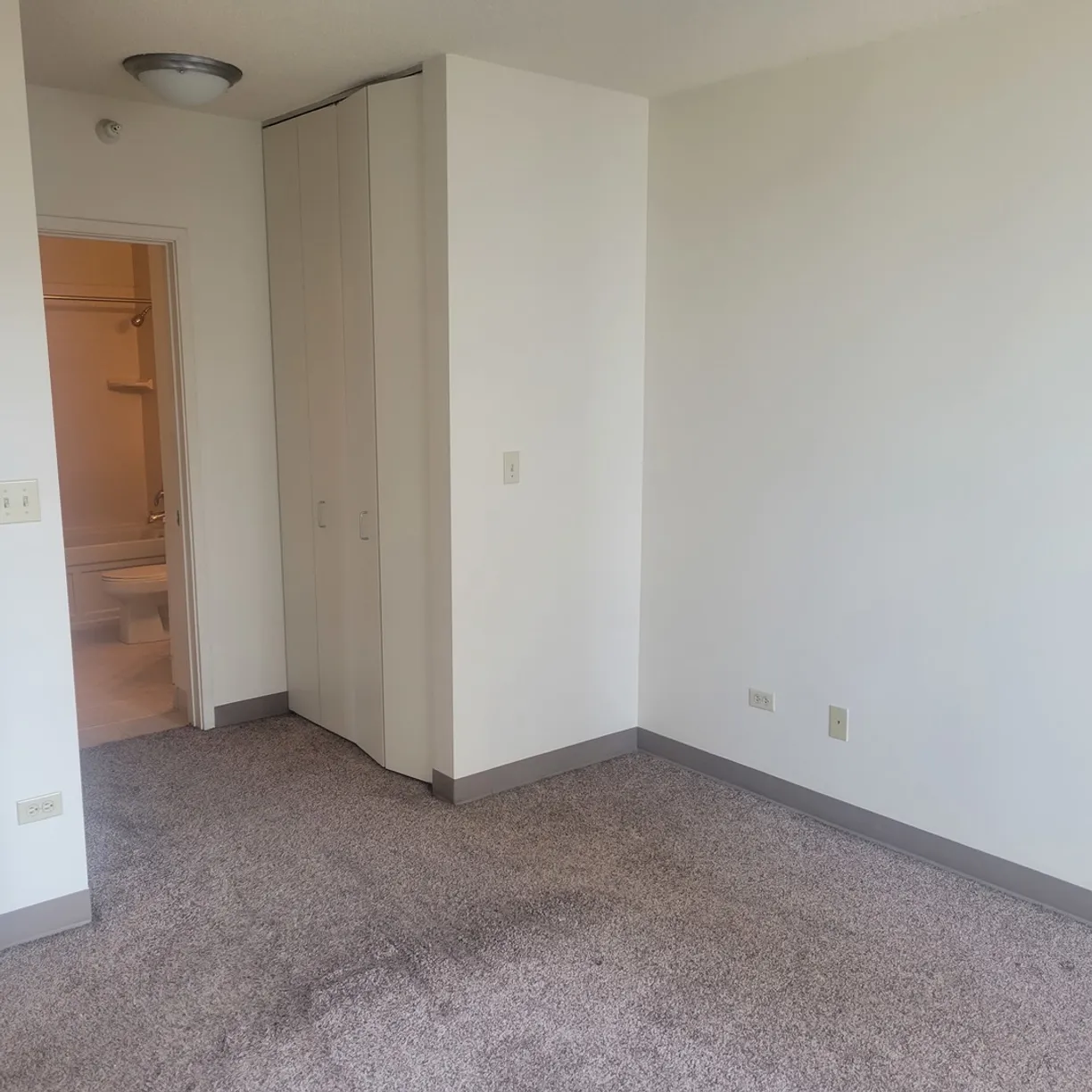 Chicago Real Estate | View 222 N Columbus, 3910 | room 2