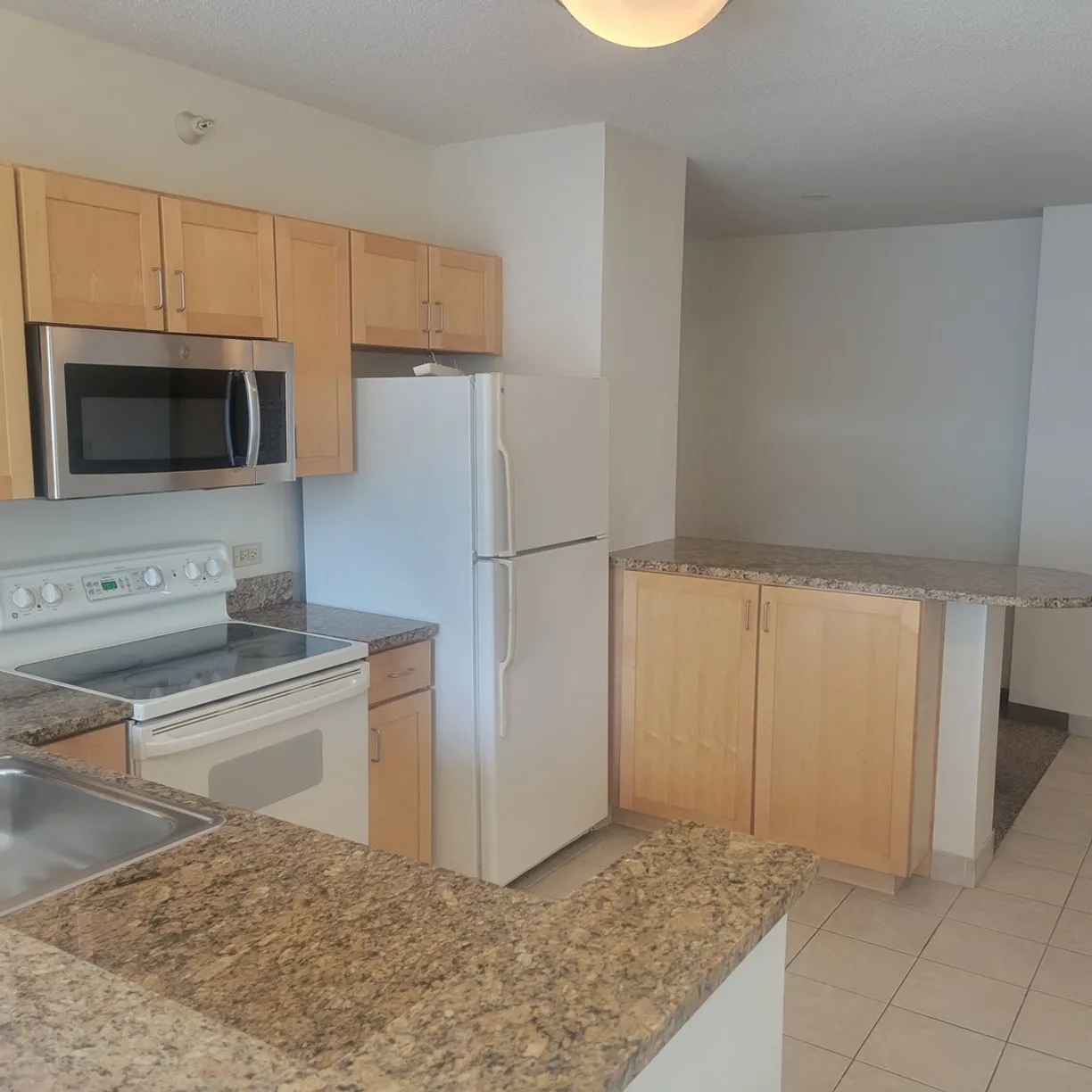 Chicago Real Estate | View 222 N Columbus, 3910 | room 1