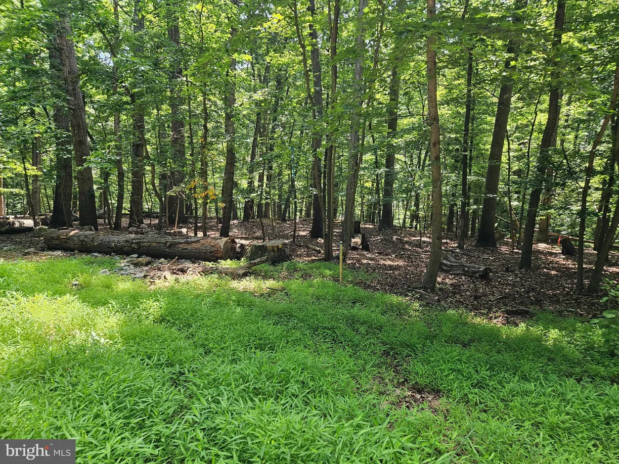 Washington Metro Area Real Estate | View Dogwood Ln | room 1
