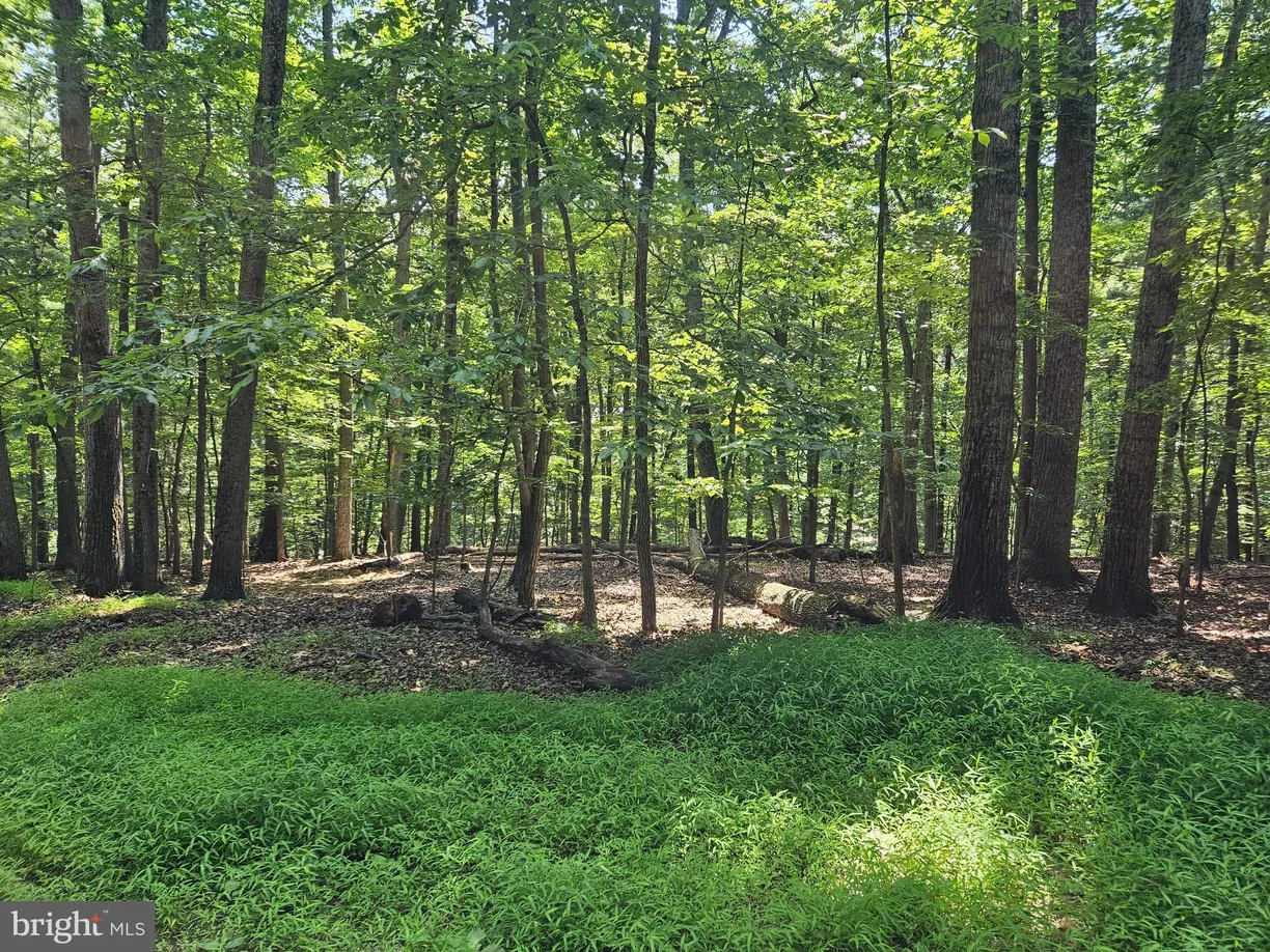 Washington Metro Area Real Estate | View Dogwood Ln