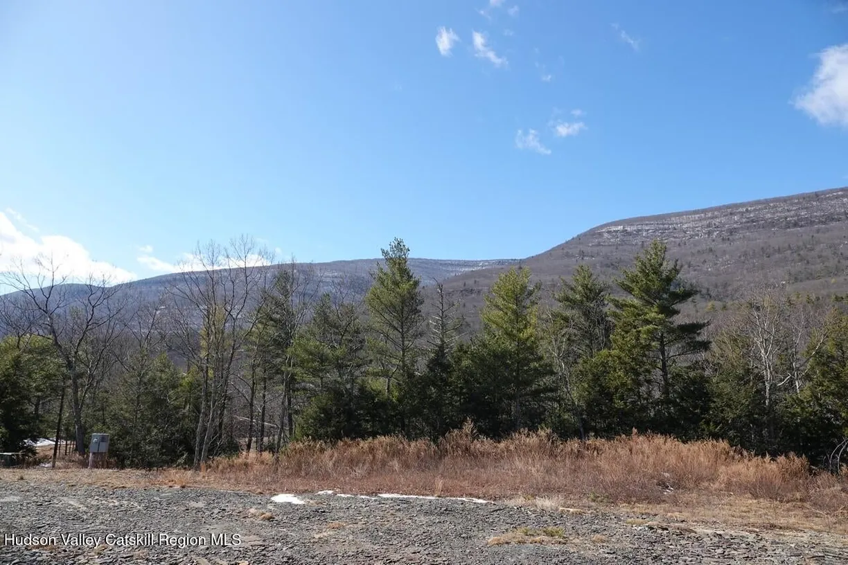 Hudson Valley Real Estate | View 736-738 Manorville Road | room 1