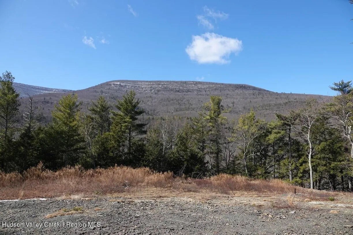 Hudson Valley Real Estate | View 736-738 Manorville Road