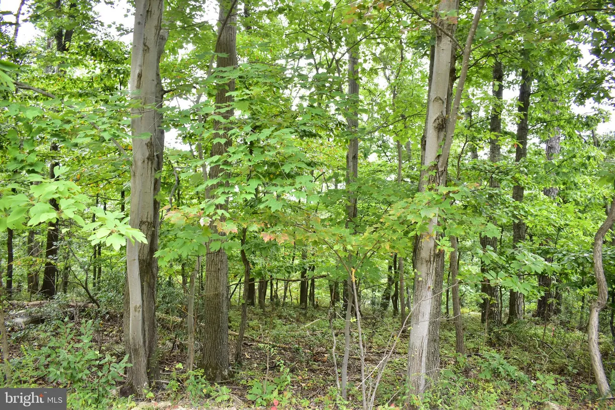 Washington Metro Area Real Estate | View Lot 17 Fox Trail