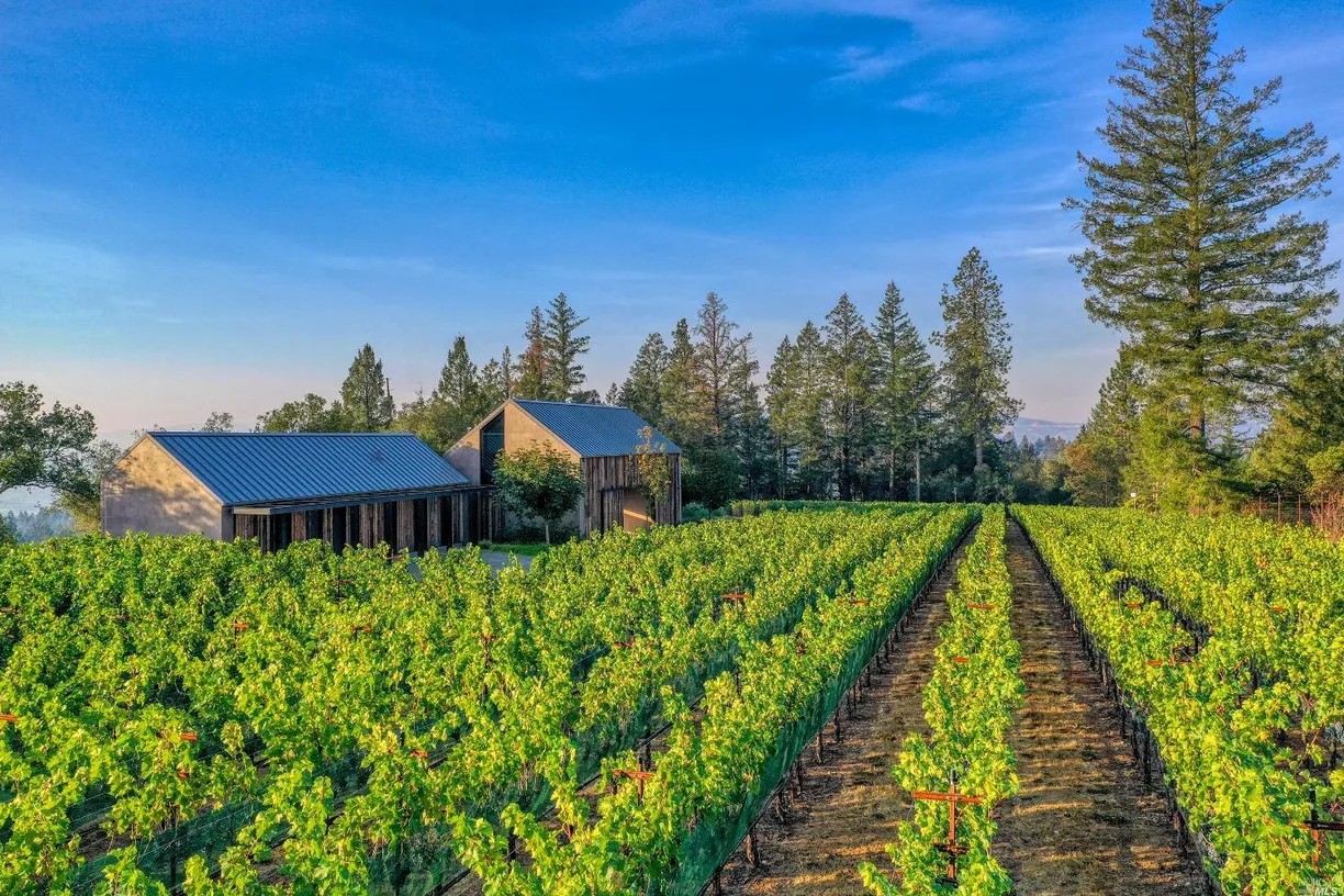 Northern California Real Estate | View 285 Howell Mountain Road | room 17 | View 18