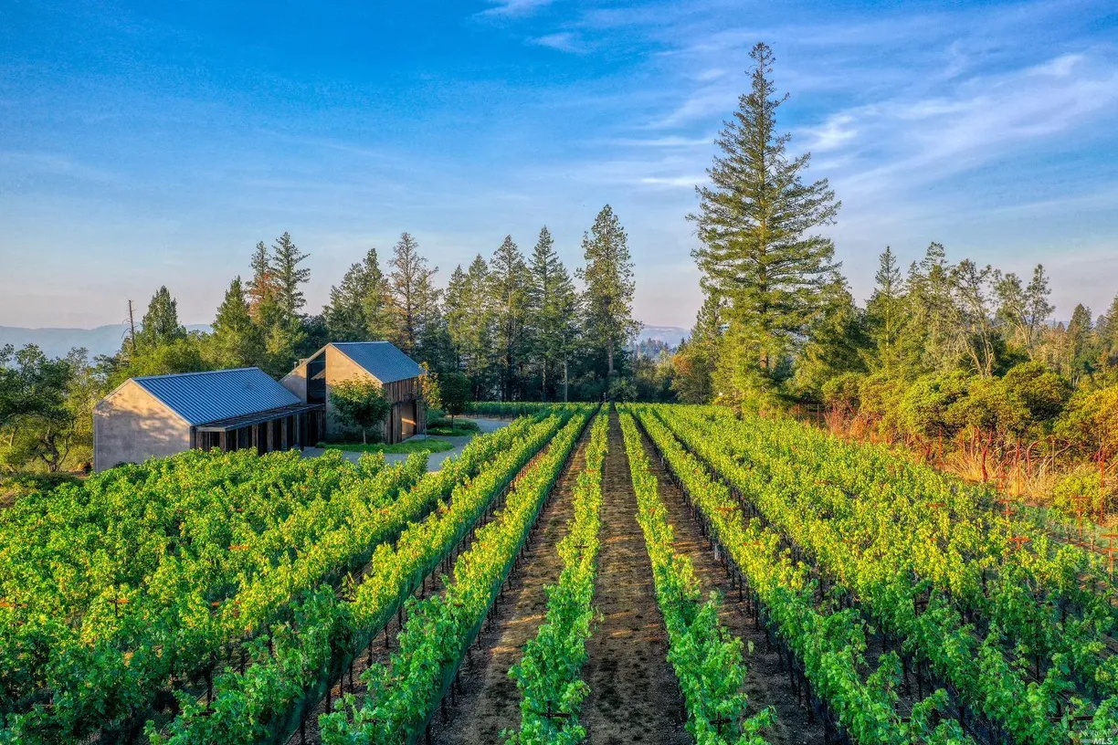 Northern California Real Estate | View 285 Howell Mountain Road | room 8 | View 9