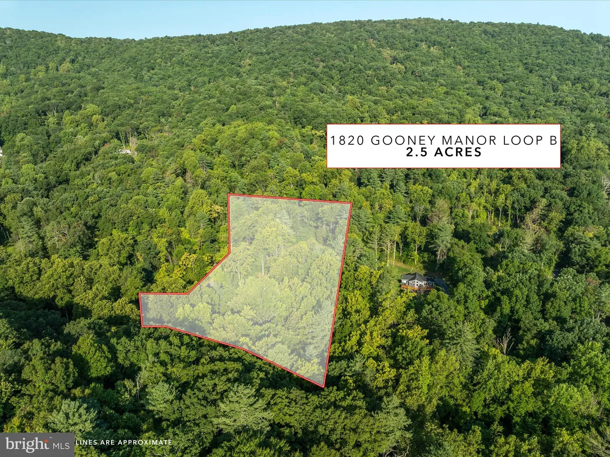 Washington Metro Area Real Estate | View 0 Gooney Manor Loop | room 1