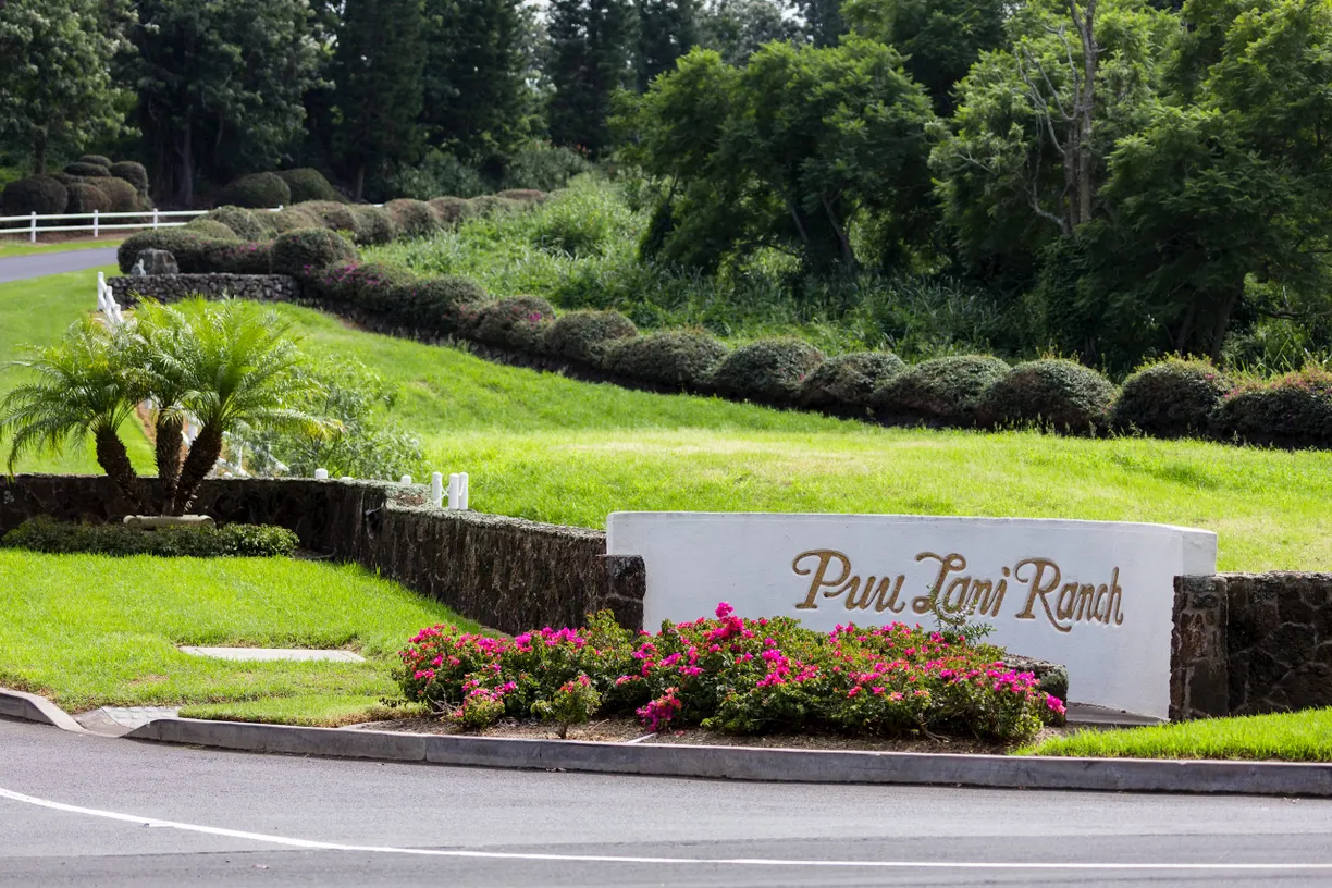 Hawaii Real Estate | View 51 PUU KAMANU LN | room 1