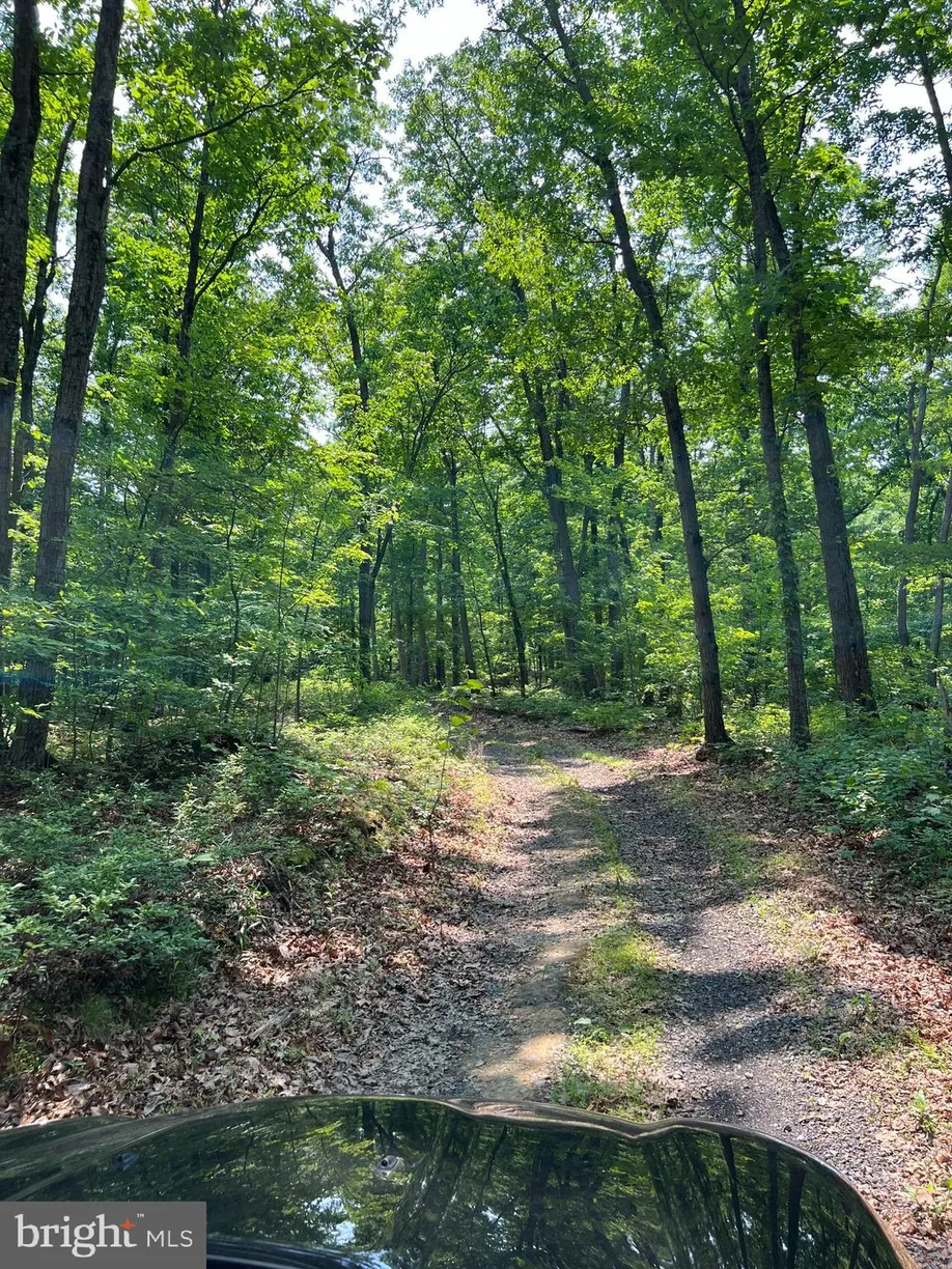 Washington Metro Area Real Estate | View 1181 Catlett Mountain Road | 3 Beds, 1 Bath