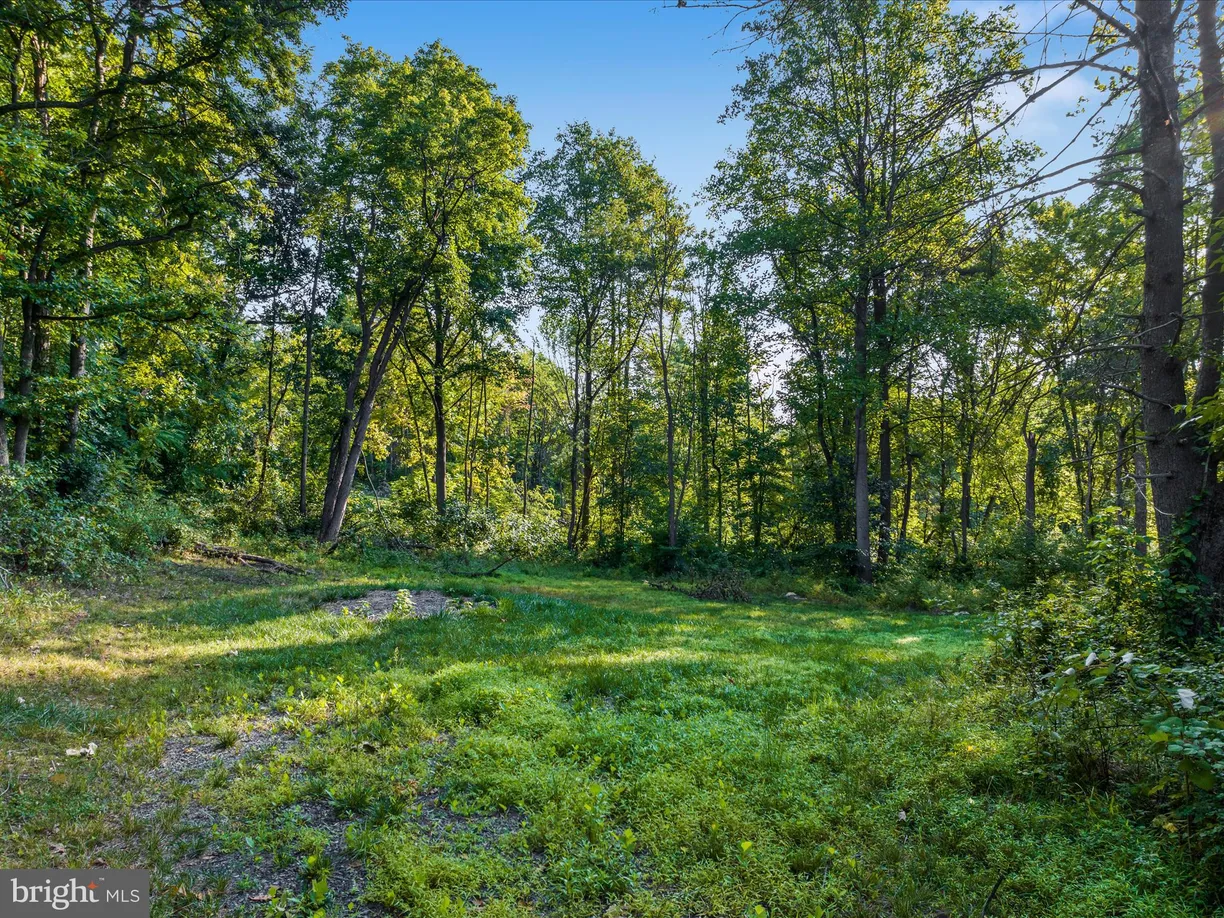Washington Metro Area Real Estate | View 0 Gooney Manor Loop | room 2