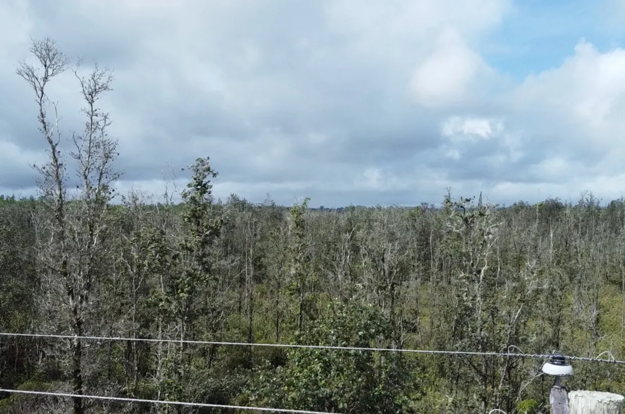 Hawaii Real Estate | View ROAD 11 (PULELEHUA)