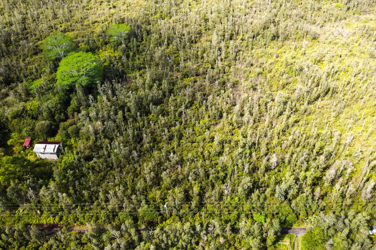 Hawaii Real Estate | View ROAD 11 (PULELEHUA) | room 1