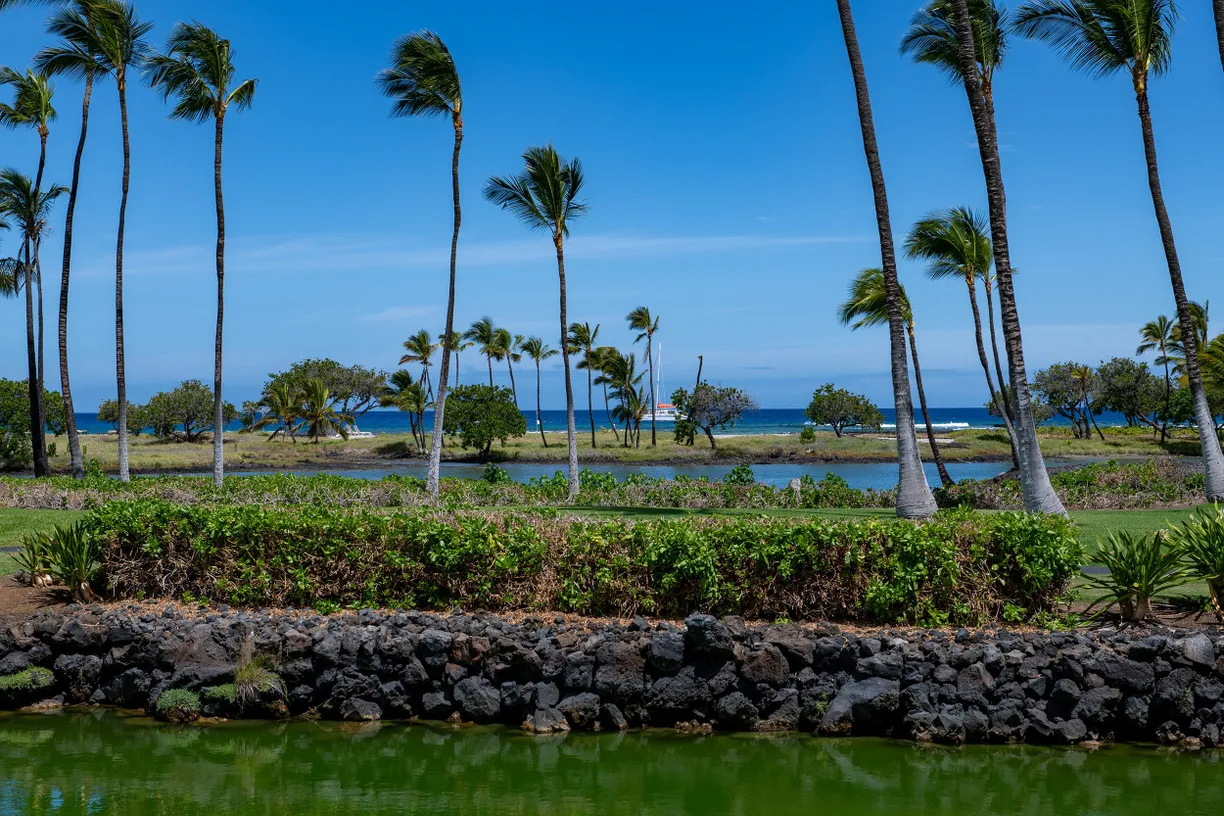 Hawaii Real Estate | View 68-1399 MAUNA LANI DR, #B102 | room 2
