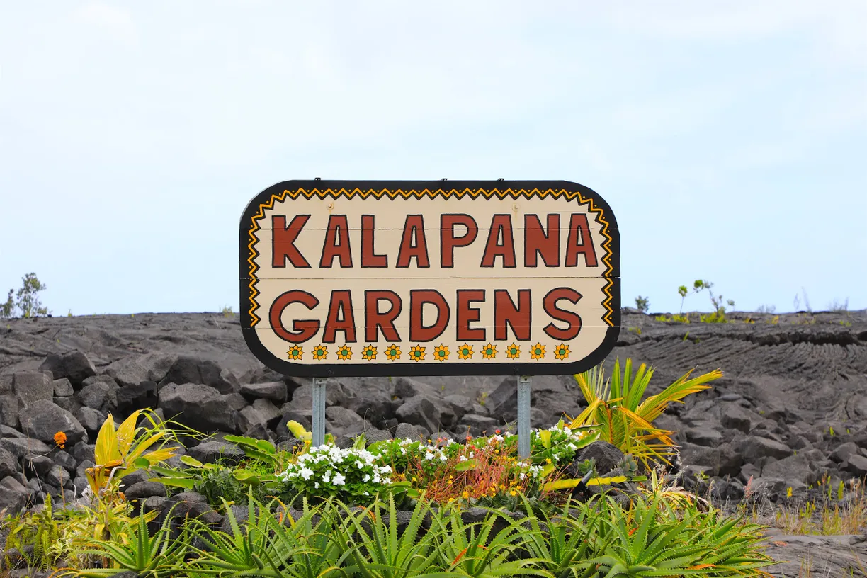 Hawaii Real Estate | View PAHOA, HI