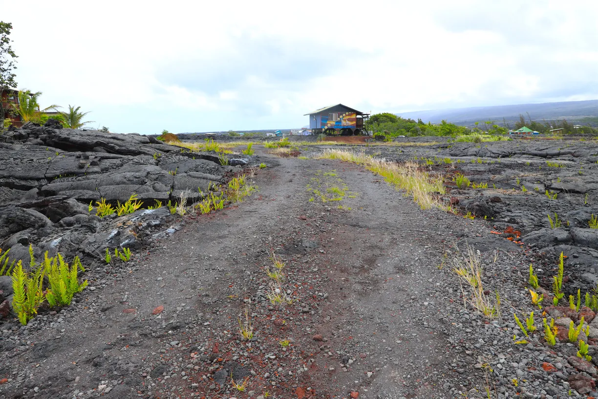 Hawaii Real Estate | View PAHOA, HI | room 2