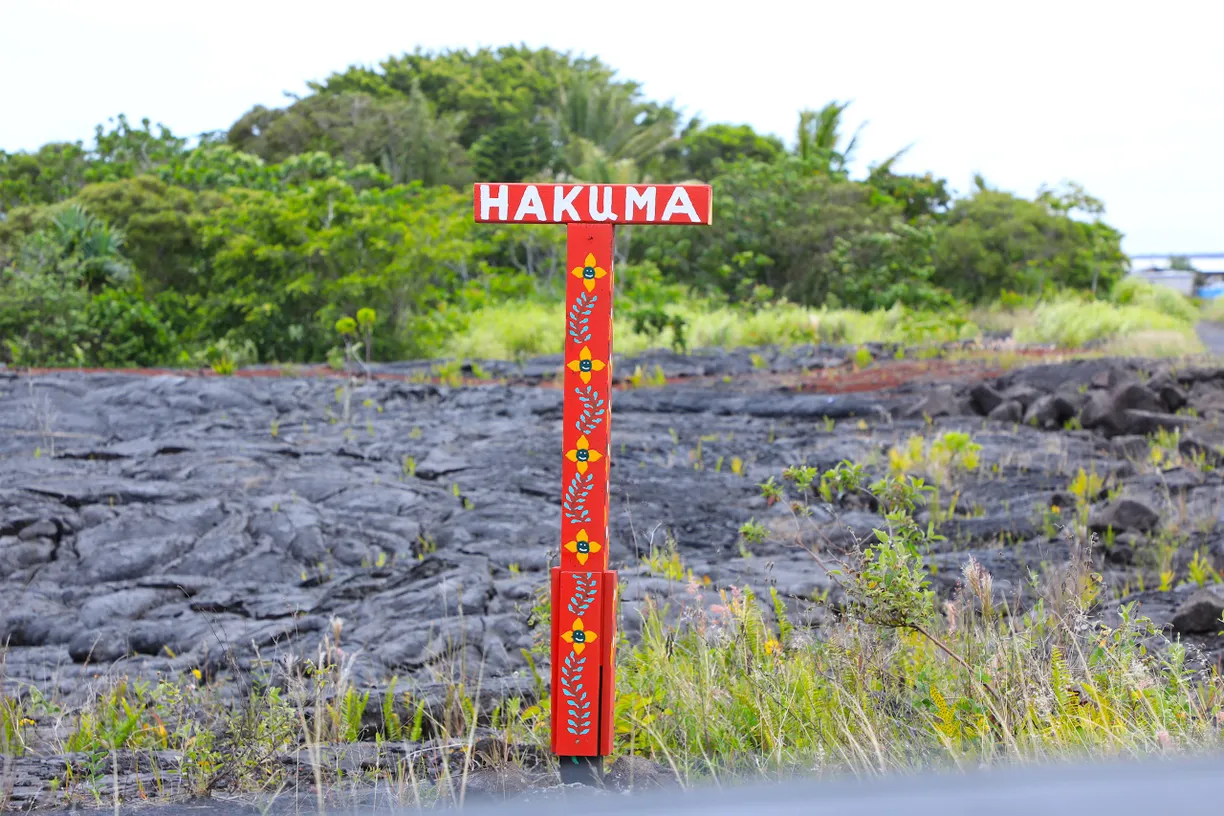 Hawaii Real Estate | View PAHOA, HI | room 1