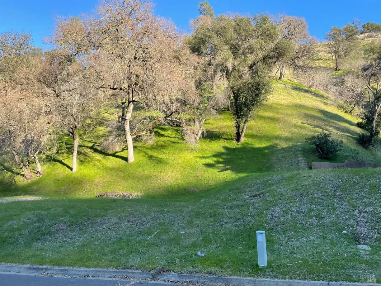 Northern California Real Estate | View 1026 Arroyo Lindo Court