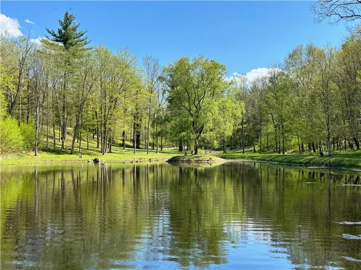 Hudson Valley Real Estate | View 259 Woodstock Road | room 2