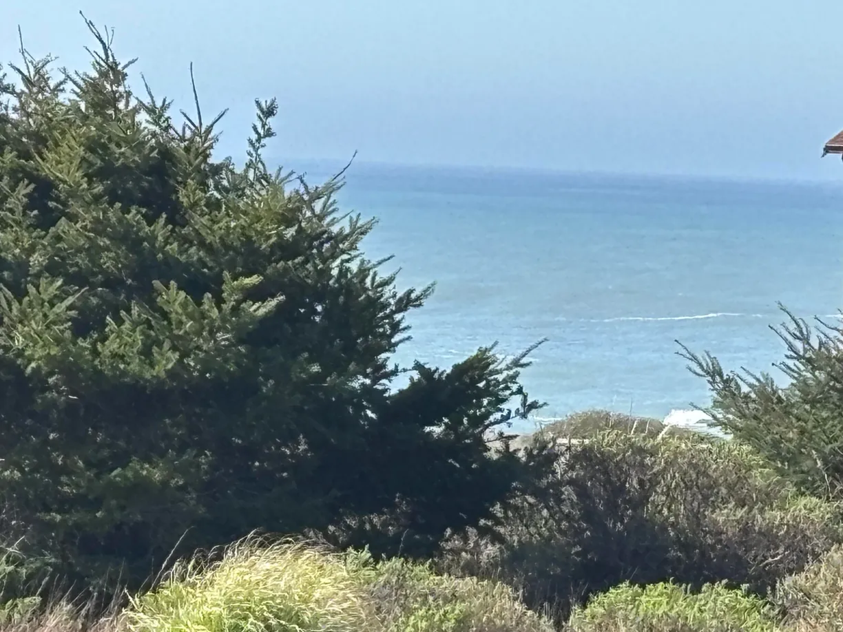 Northern California Real Estate | View 93/101 Neptune Drive