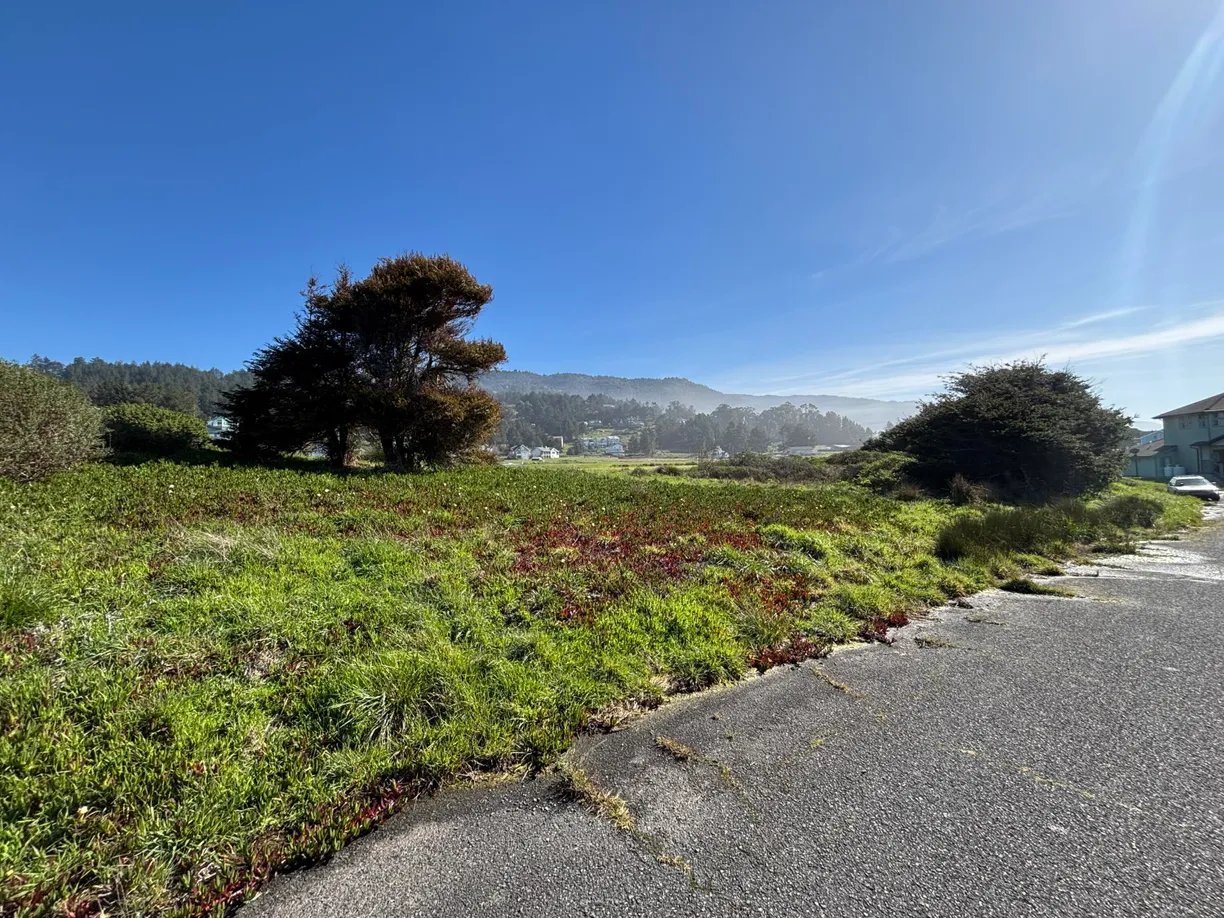 Northern California Real Estate | View 93/101 Neptune Drive | room 2