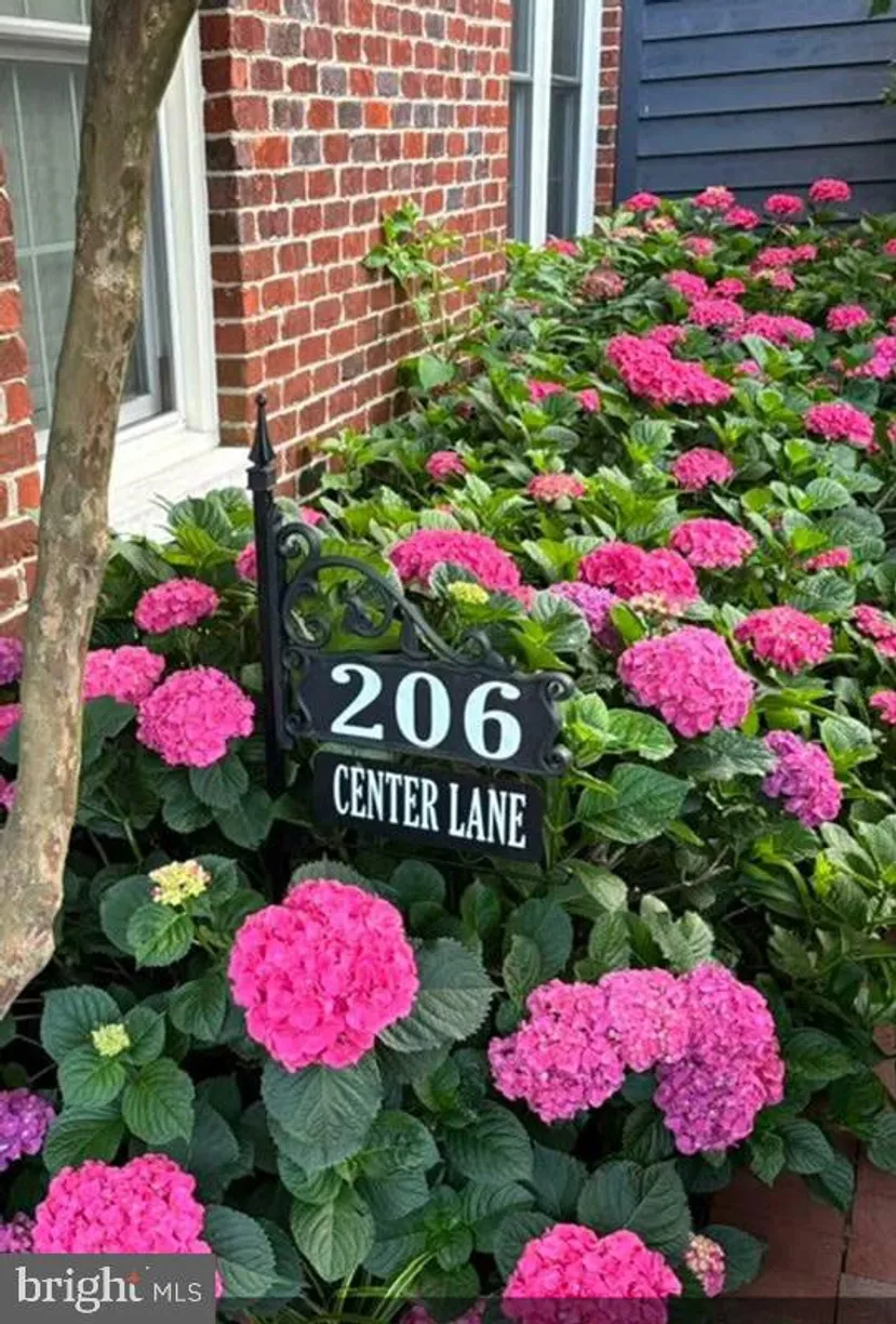 Washington Metro Area Real Estate | View 206 Center Lane | room 2