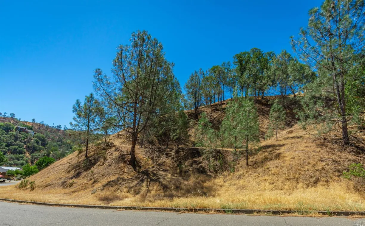 Northern California Real Estate | View 1268 Steele Canyon Road | room 2