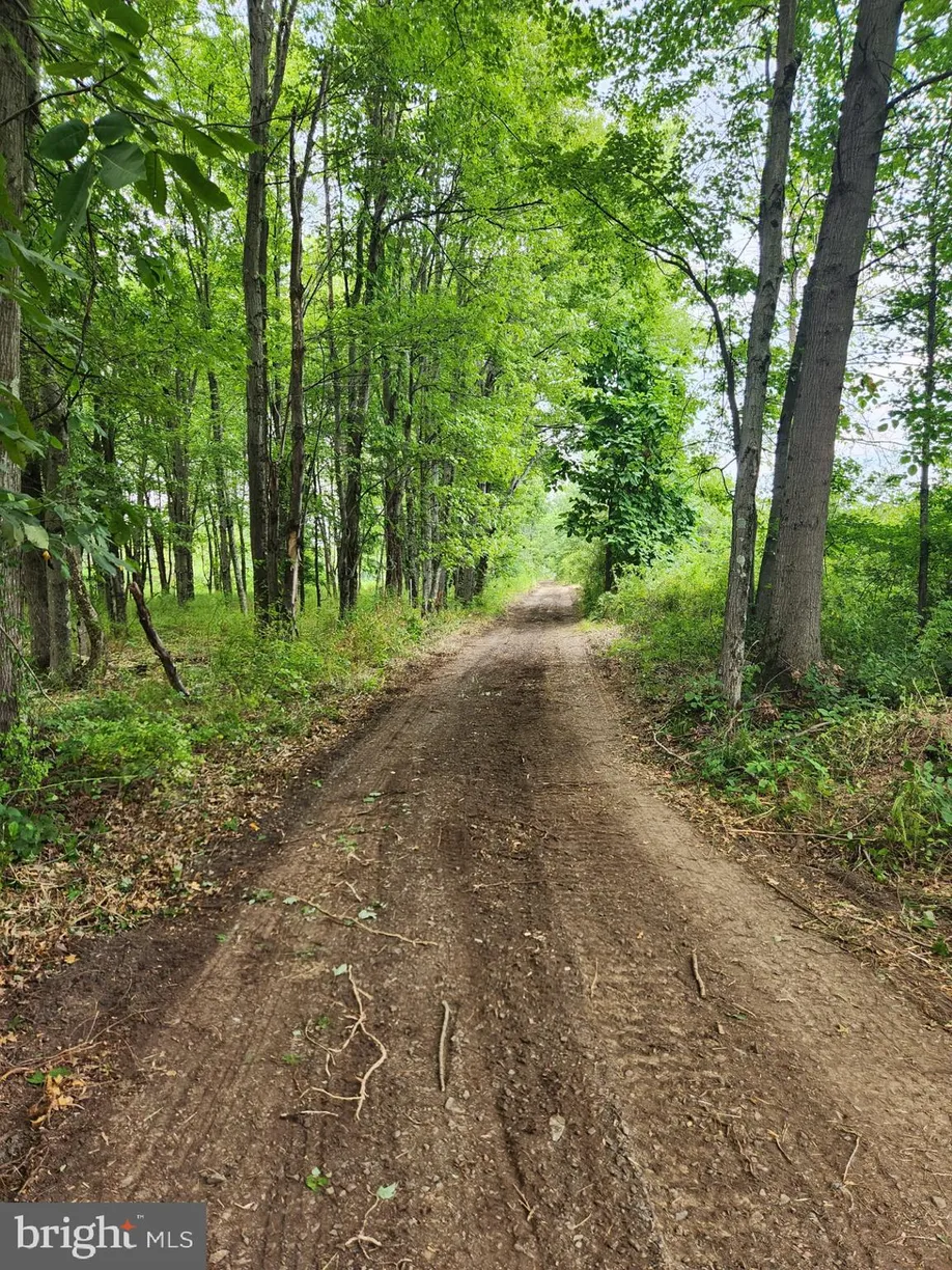 Central NJ/Bucks County, PA Real Estate | View Old Durham Rd