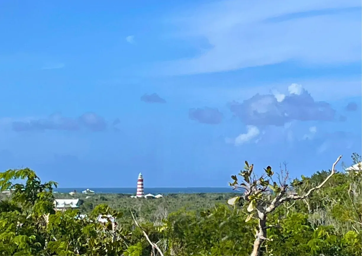 Bahamas Real Estate | View TREETOPS, LUCAYOS, 21 | Listing