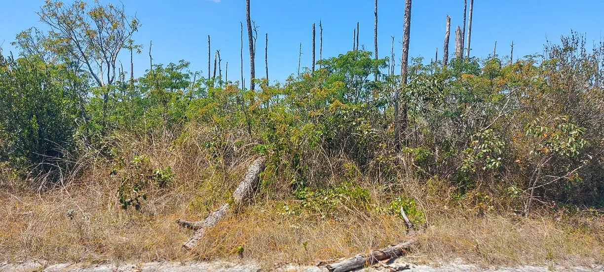 Bahamas Real Estate | View DEVONSHIRE SUB, 2 | Listing