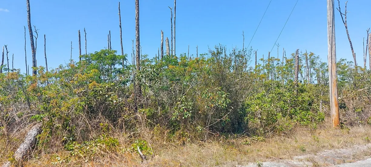 Bahamas Real Estate | View DEVONSHIRE SUB, 2 | Listing