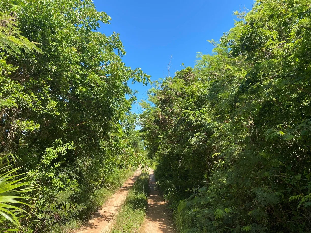 Bahamas Real Estate | View ELEUTHERA ISLAND SHORES, 26 | Listing