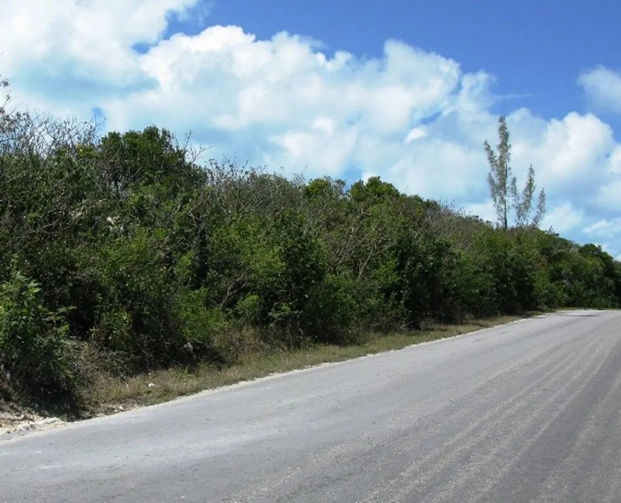 Bahamas Real Estate | View ELEUTHERA ISLAND SHORES, 4 | Listing