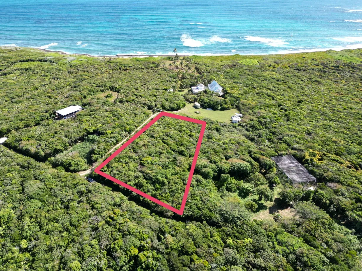 Bahamas Real Estate | View 22 LITTLE HARBOUR, 22