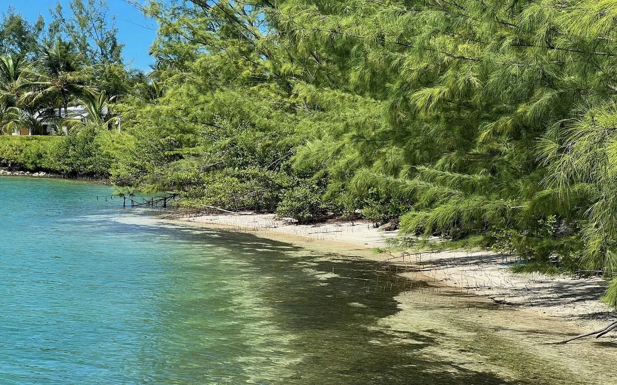 Bahamas Real Estate | View LOT 131, ROSE ISLAND | Listing