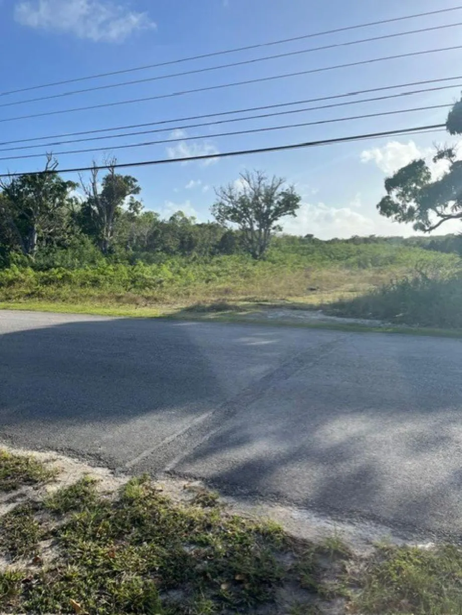 Bahamas Real Estate | View DEADMAN'S CAY ROAD FRONT | Listing