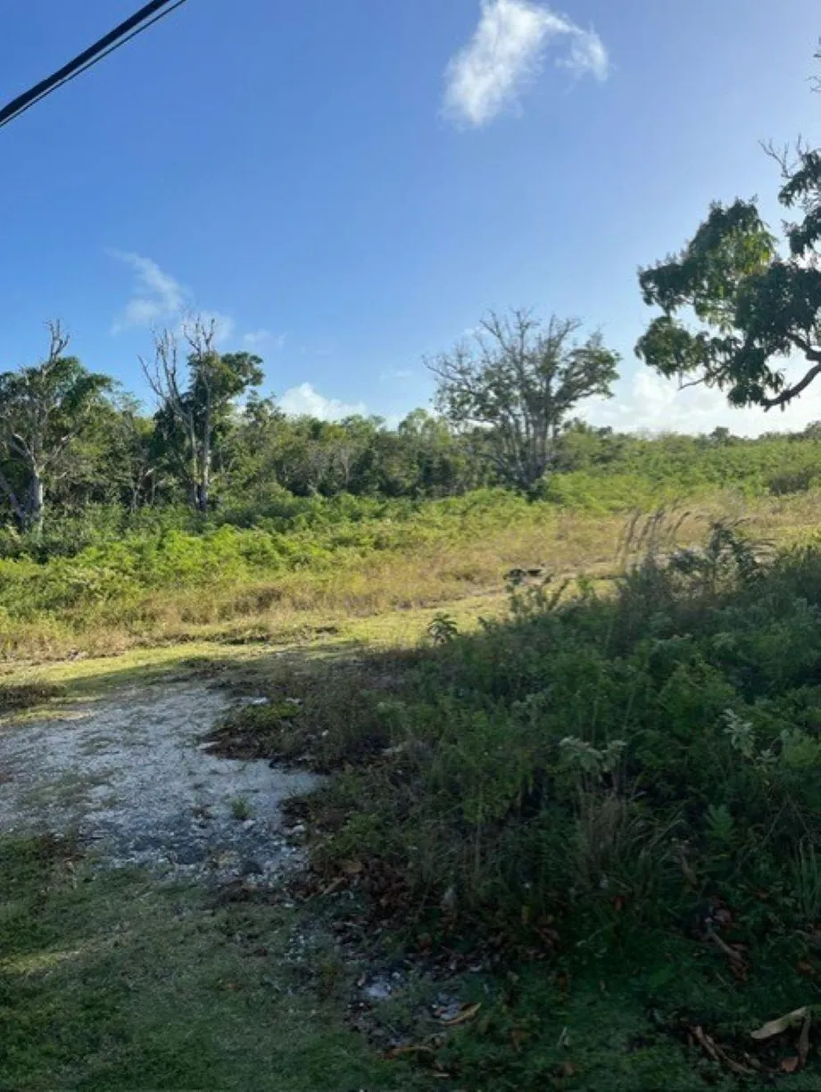Bahamas Real Estate | View DEADMAN'S CAY ROAD FRONT | Listing