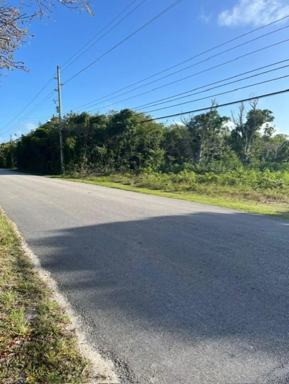 Bahamas Real Estate | View DEADMAN'S CAY ROAD FRONT