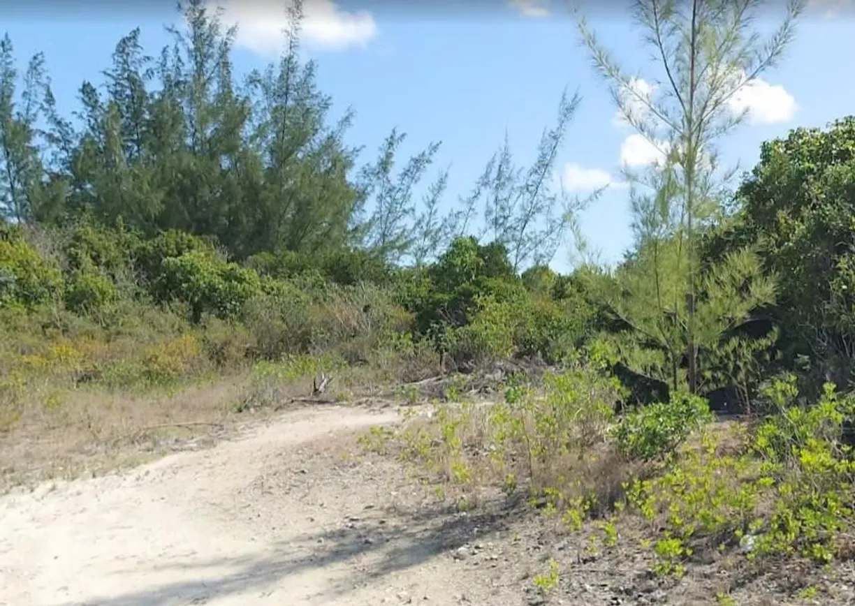 Bahamas Real Estate | View BONEFISH BAY | Listing