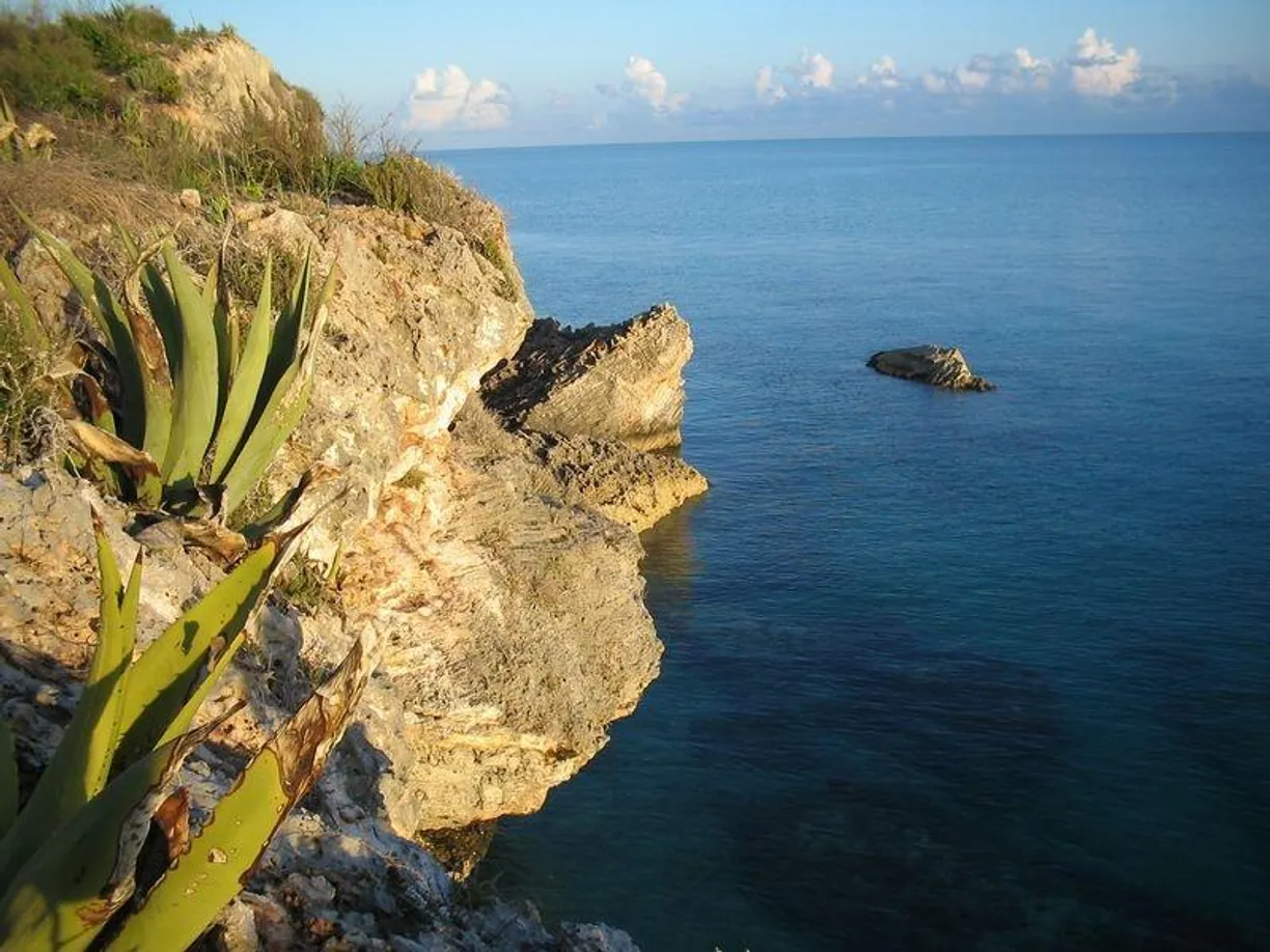 Bahamas Real Estate | View 2C BAHAMA ISLAND REACH, 2C | Listing