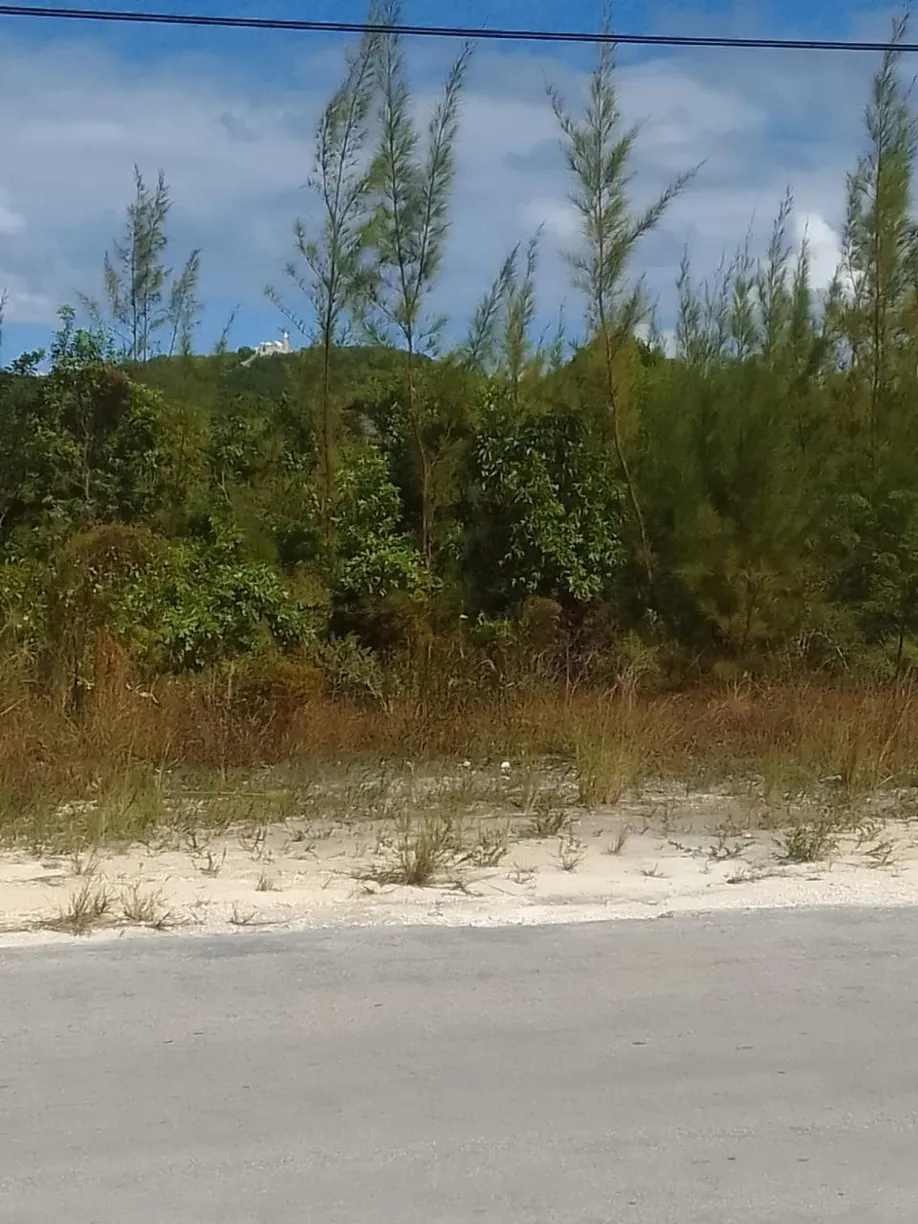 Bahamas Real Estate | View 50 ACRES CAT ISLAND | Listing