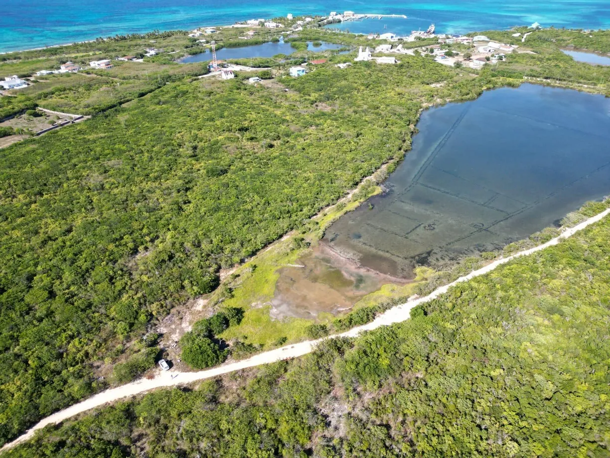 Bahamas Real Estate | View VICINITY OF CLARENCE TOWN, 37