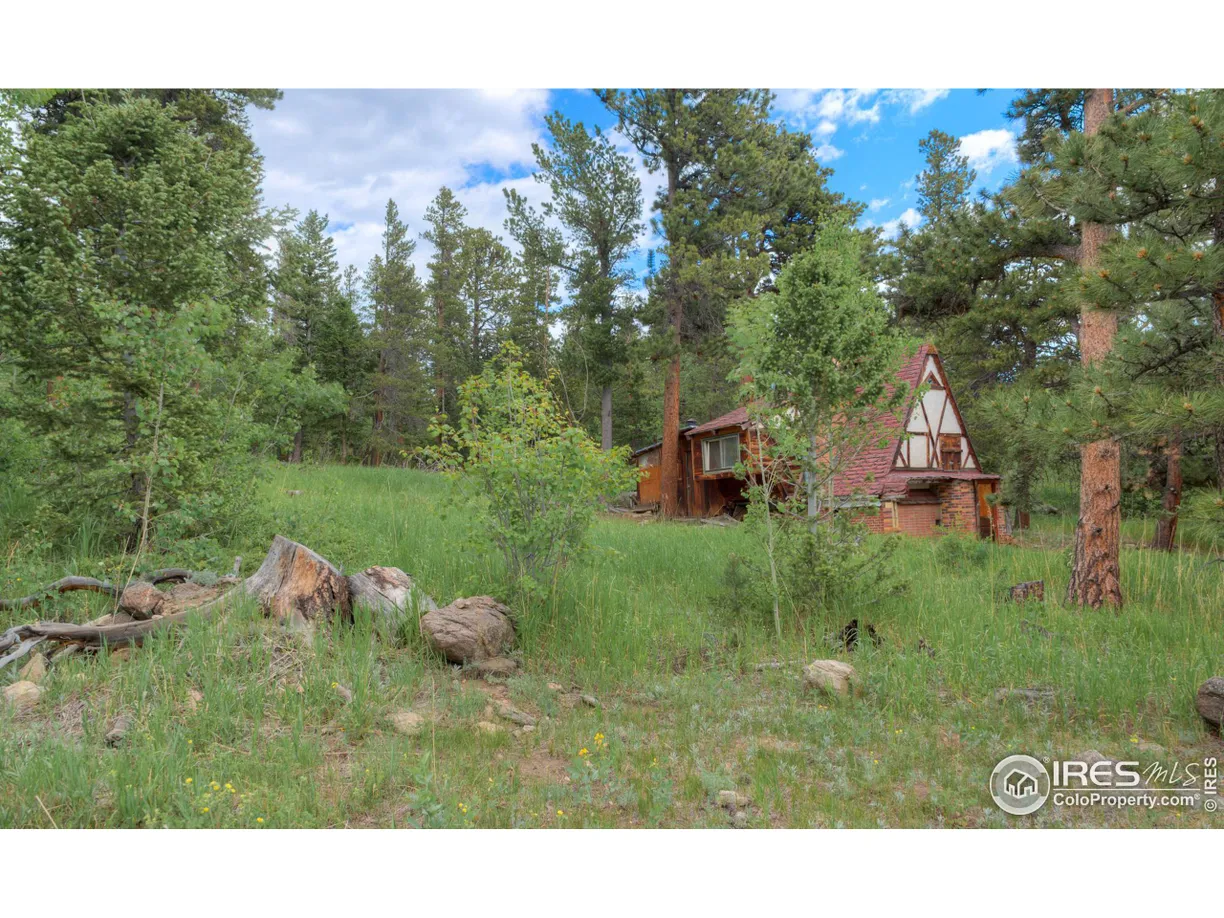 Denver Real Estate | View County Road 103 | Listing