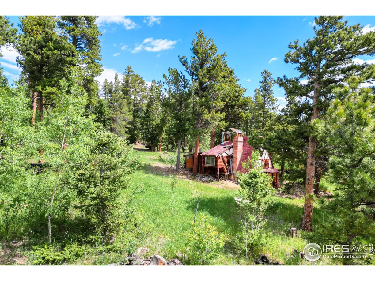 Denver Real Estate | View County Road 103 | Listing