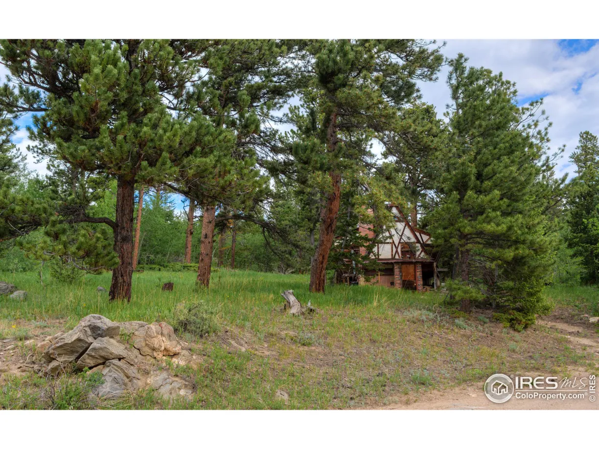 Denver Real Estate | View County Road 103