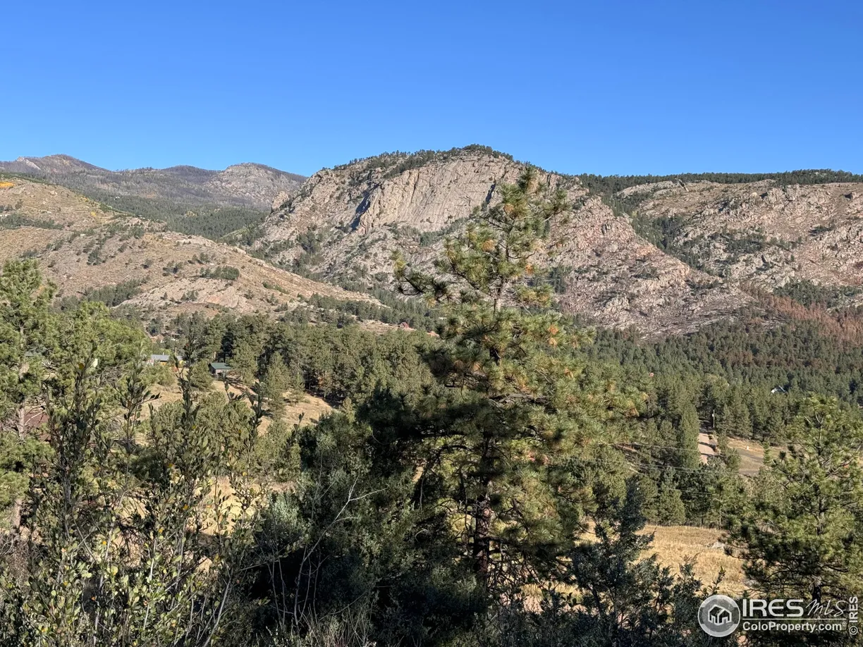 Denver Real Estate | View Snow Top Dr | Listing