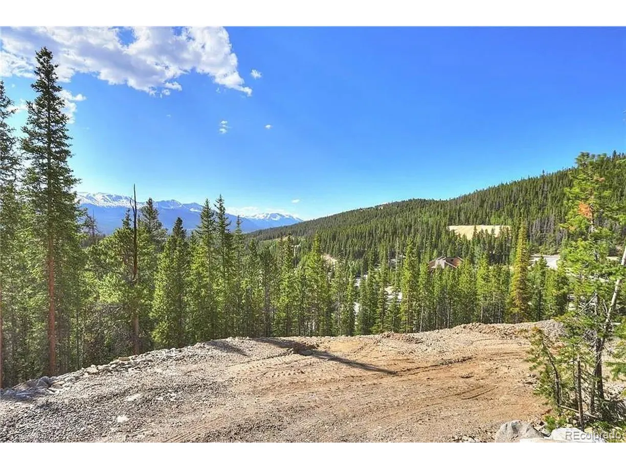 Denver Real Estate | View CR 529 | Listing