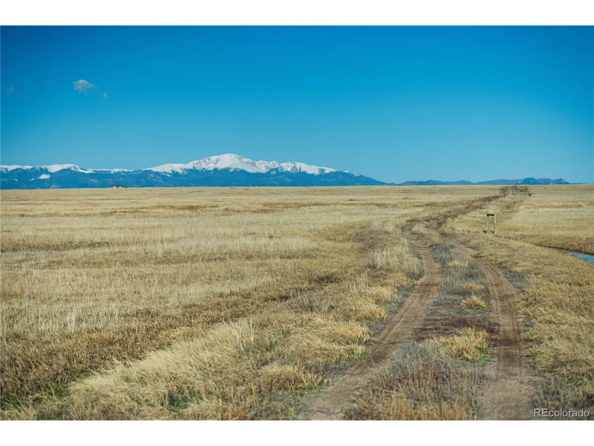 Denver Real Estate | View 