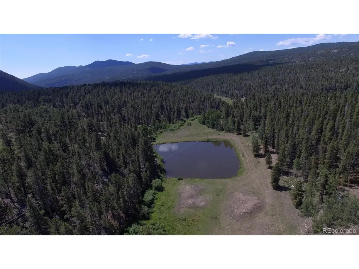 Denver Real Estate | View 