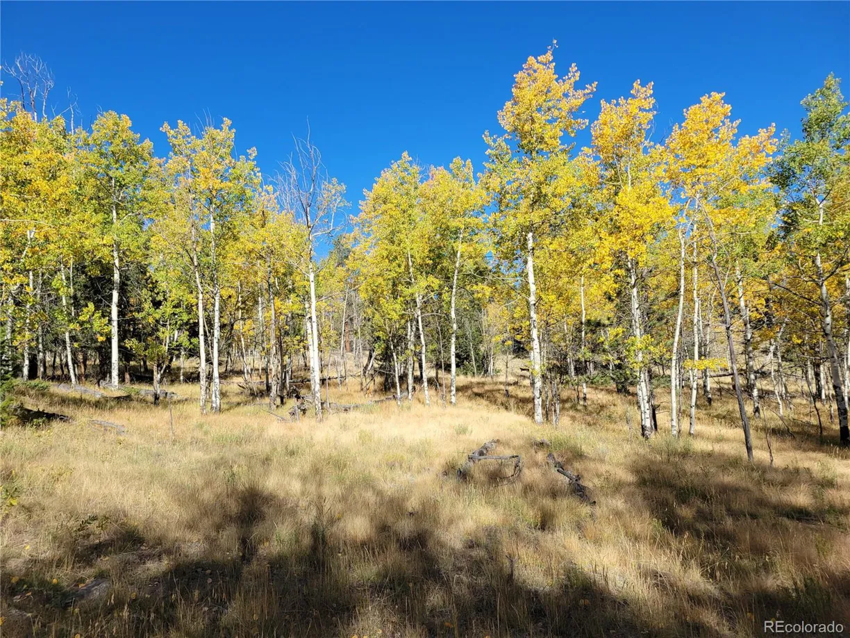 Denver Real Estate | View 